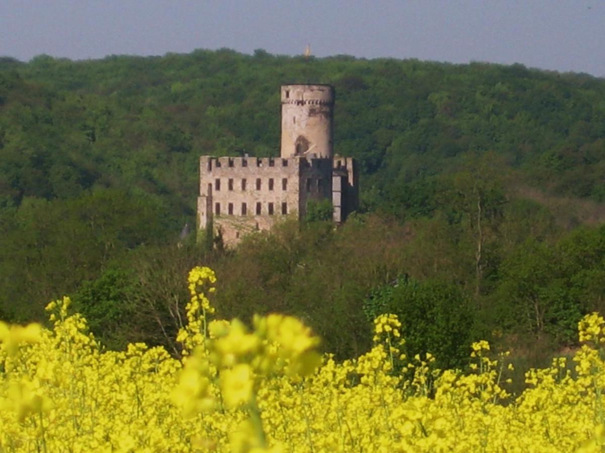 Tiny House Natur-Traum Zur Burg Eltz Wierschem Luaran gambar